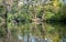 40 Acre Pit, trees reflected in calm lake in Pear Wood next to Stanmore Country Park, Stanmore, Middlesex, UK.