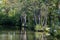 40 Acre Pit, trees reflected in calm lake in Pear Wood next to Stanmore Country Park, Stanmore, Middlesex, UK.