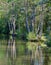 40 Acre Pit, trees reflected in calm lake in Pear Wood next to Stanmore Country Park, Stanmore, Middlesex, UK.