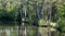 40 Acre Pit, trees reflected in calm lake in Pear Wood next to Stanmore Country Park, Stanmore, Middlesex, UK.