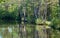 40 Acre Pit, trees reflected in calm lake in Pear Wood next to Stanmore Country Park, Stanmore, Middlesex, UK.