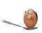 401k retirement nest egg