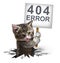 404 Error With A Kitten
