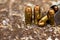 .45 ammunition bullet and gun magazine on rusty background