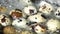 4k. From above fresh quail eggs boiling in hot water in white metal saucepan on stove in kitchen