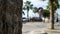 4K. abstract blur of people in colorful running suit jogging on beach road for exercise with palm tree at foreground