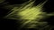 4k Abstract haystack fiber grass,weed branches twig plant,paddy grain harvest.