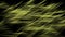 4k Abstract haystack fiber grass,weed branches twig plant,paddy grain harvest.