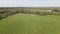 4k Aerial Drone Flyover of Fallow Field with Grass and Flowers.