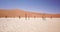 4K Aerial drone footage of dead acacia trees in Deadvlei, Namibia.