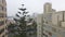 4K Aerial Drone Rise with Pine Tree, reveals Lima, Peru.