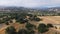 4K Aerial Drone view of vineyard and farm in California