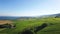 4K Aerial footage of Vineyard fields between Lausanne and Geneva in Switzerland -UHD