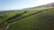 4K Aerial footage of Vineyard fields between Lausanne and Geneva in Switzerland -UHD