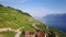 4K Aerial footage of Vineyard fields in Terrasses de Lavaux near Lausanne in Switzerland - UHD