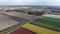 4k aerial video of intercity train driving through dutch agricultural landscape with colorful tulip fields in spring