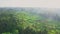 4K Aerial video of sunrise rice terrace with palm trees in Bali, Ubud
