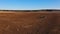 4K. Aerial view of agriculture process: tractor plows and makes seeding, sowing agricultural crops at field