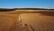 4K. Aerial view of agriculture process: tractors are plows and makes seeding, sowing agricultural crops at field