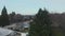 4k Aerial View Circling a Tree in a Town in Oregon with Mountain as Background