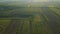 4K aerial view Freshly plowed and sowed farming land from above,