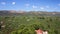 4K Aerial view of olive tree field in Zakynthos Zante island, in Greece