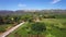 4K Aerial view of olive tree field in Zakynthos Zante island, in Greece