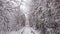 4k. Aerial view on winter Natural Tunnel of Love with Railway Road. Klevan, Ukraine. picturesque frozen forest with snow