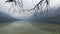 4K. Amazing Bohinj Lake in foggy weather through the trees branches, panoramic view. Julian Alps, Triglav National Park, Slovenia