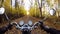 4K. Amazing motorcycle ride towards sunset on the golden forested road in autumn, wide point of view of rider.