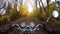 4K. Amazing motorcycle ride towards sunset on the golden forested road in autumn, wide point of view of rider.