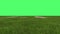 4k animation of green field