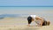 4K. athletic man workout by  push up at the sandy beach, part of his cross fitness workout.