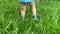 4k Baby feet walk in a green grass.