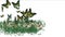 4k Butterfly lush flower petal leaves crops shrubs bushes plant grass growing.