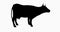 4k cattle eating grass,3d cartoon,livestock,animal silhouette.