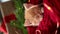 4k. Christmas cats. cute little ginger striped kitten sleeping on festive holiday background. Red Kitty with Christmas