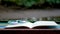 4K. Cinemagraph of blank book with flowerpot on the wooden table against the sparkling river background