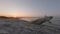 4k cinematic beach sunset timelapse with tree trunk and calm waves, Italy