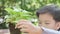 4k close up young Asian boy look and touch little plant in pot