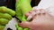 4k closeup relax concept. Master pedicure in green gloves applying nail polish. Professional pedicure procedure, 4k
