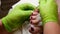 4k closeup relax concept. Master pedicure in green gloves applying nail polish. Professional pedicure procedure, 4k