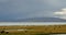 4k clouds mass rolling over Tibet lake namtso,herdsman tent,a group of cow.