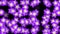 4k Color flower petal nature neon pattern&Colorful array matrix background.