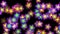 4k Color flower petal nature neon pattern&Colorful array matrix background.