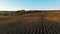 4K Compilation View. Flight and takeoff above corn field at golden sunset, aerial panoramic view