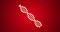 4k DNA Genetic Code on Double Helix Rendered Animation Video Zoom on Red Background.