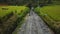 4k drone stock footage with top view of green rice field with road with motion blur