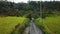 4k drone stock footage with top view of green rice field with road with motion blur