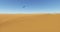 4k Eagles hovering over the desert & sand dunes.